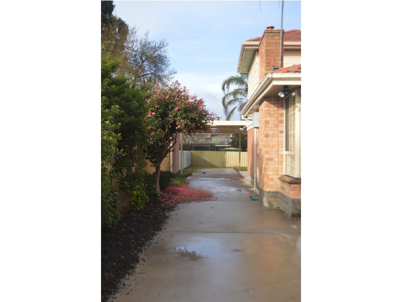 420 Prune Street, Lavington NSW 2641