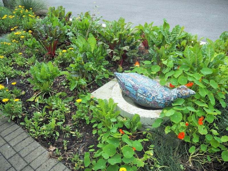 9 Seaberry Walk, Aldinga SA 5173