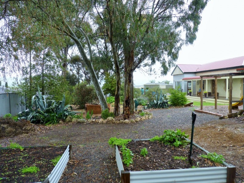 42 PRIDMORE AVENUE, Mclaren Vale SA 5171