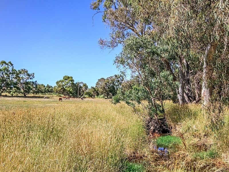 107 Buchanen Road, Hope Forest SA 5172