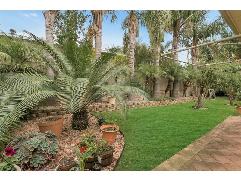 36 Wigley Drive, Mclaren Vale SA 5171