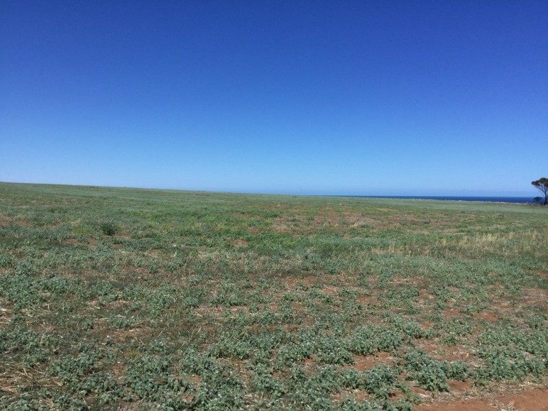 Lot 104 Bakewell Drive, Seaford Heights SA 5169