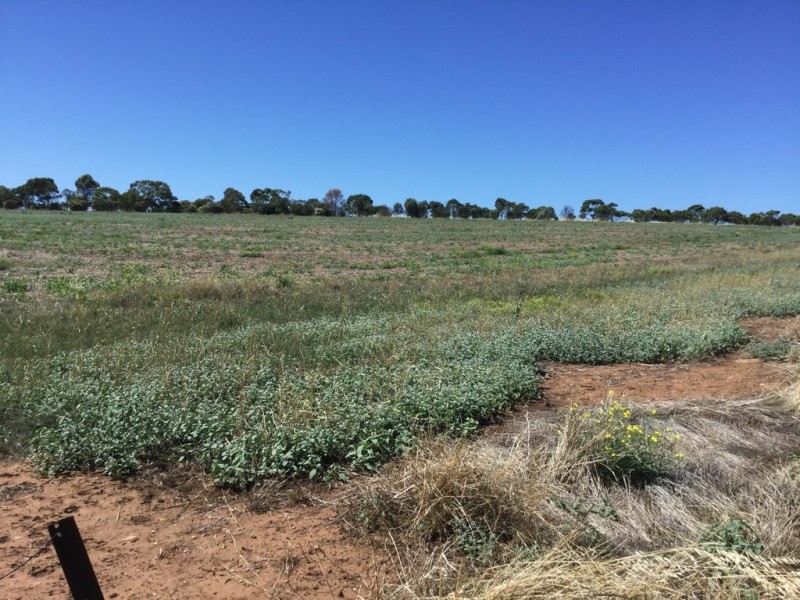 Lot 104 Bakewell Drive, Seaford Heights SA 5169