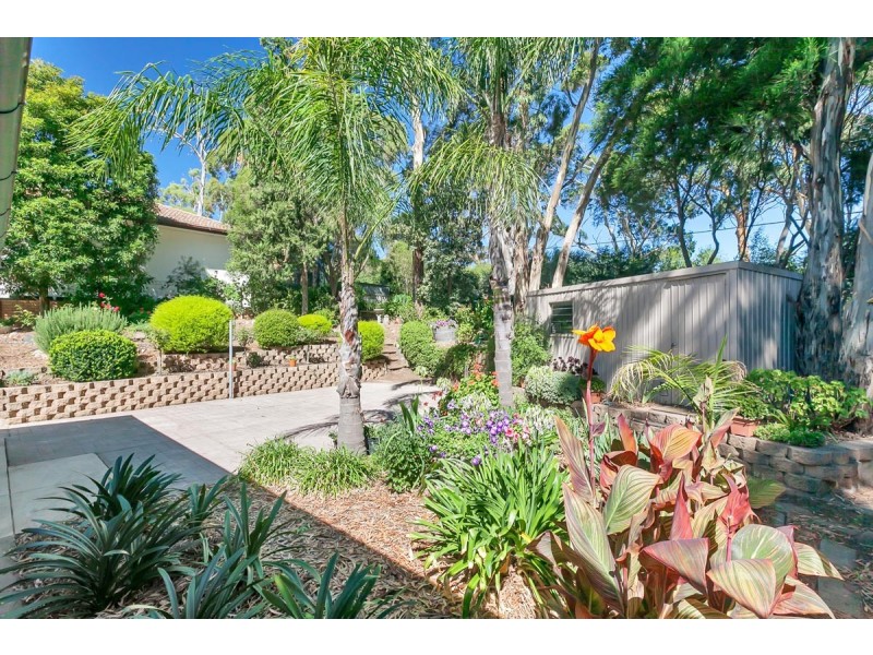 5 Malvern Court, Aberfoyle Park SA 5159