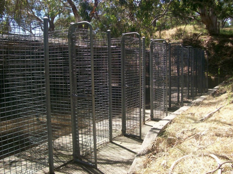 190 Peters Creek Road, Kangarilla SA 5157