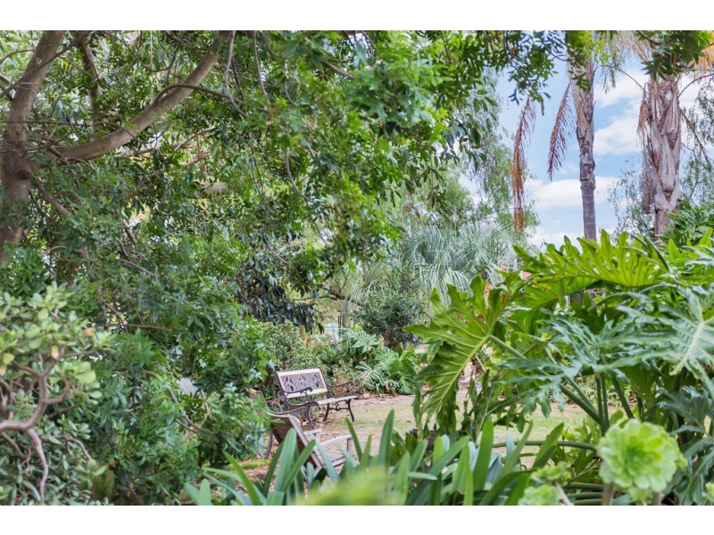 34 Caffrey Street, Mclaren Vale SA 5171