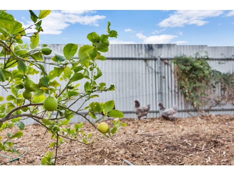 34 Caffrey Street, Mclaren Vale SA 5171