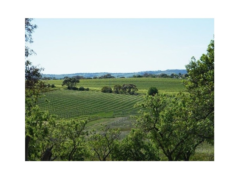 187 Tatachilla Road, Mclaren Vale SA 5171