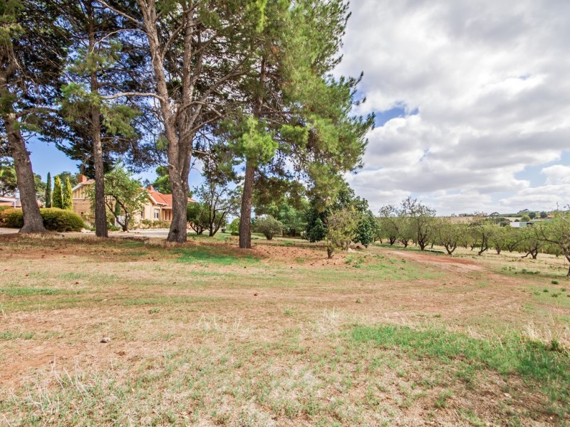 187 Tatachilla Road, Mclaren Vale SA 5171