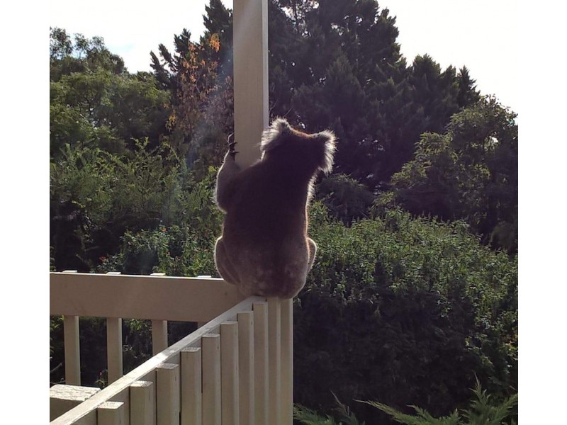 6 Malvern Court, Aberfoyle Park SA 5159