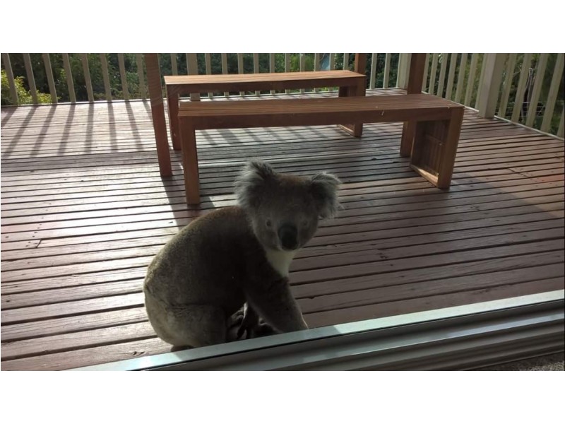 6 Malvern Court, Aberfoyle Park SA 5159