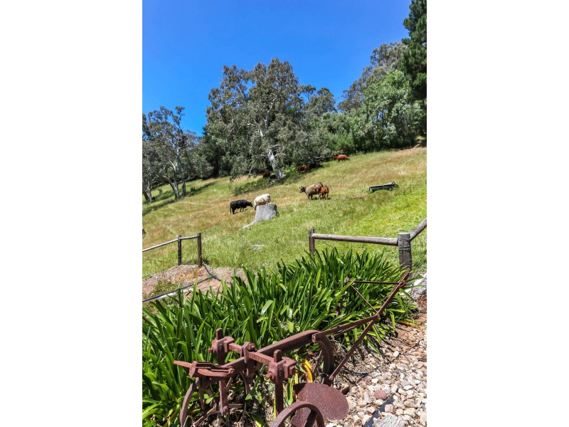 57 Cut Hill Road, Kangarilla SA 5157