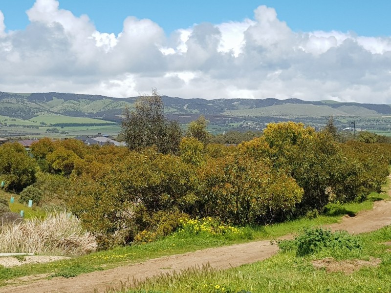 48 Sapphire Way, Aldinga Beach SA 5173