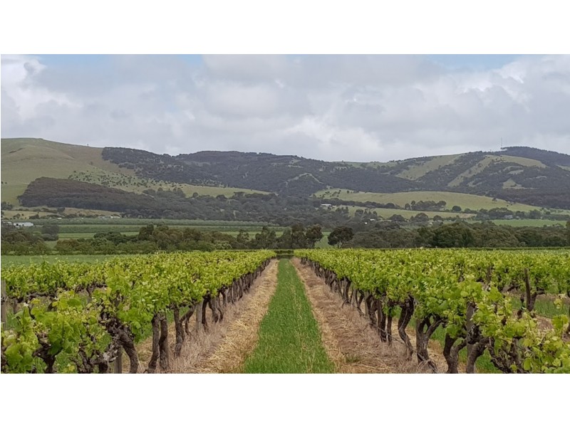 Lot 12 Ryan Road, Sellicks Hill SA 5174