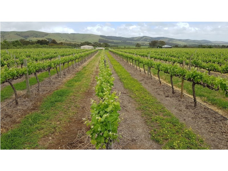 Lot 12 Ryan Road, Sellicks Hill SA 5174