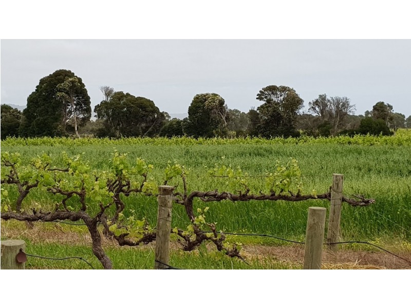 Lot 12 Ryan Road, Sellicks Hill SA 5174