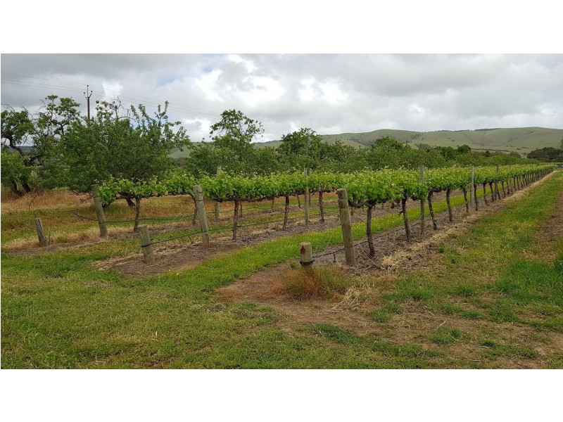 Lot 12 Ryan Road, Sellicks Hill SA 5174