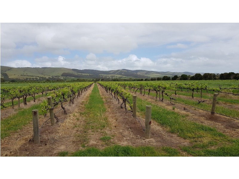 Lot 12 Ryan Road, Sellicks Hill SA 5174