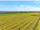 Lot 2 Button Road, Sellicks Beach SA 5174