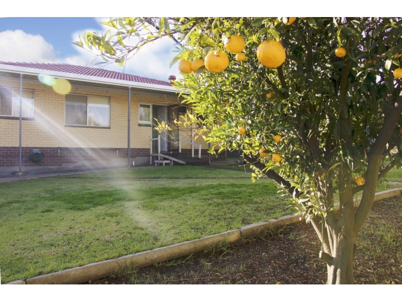 26 Acre Avenue, Morphett Vale SA 5162