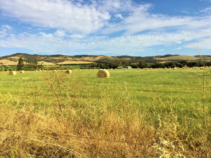 13 Nardoo Road, Aldinga Beach SA 5173