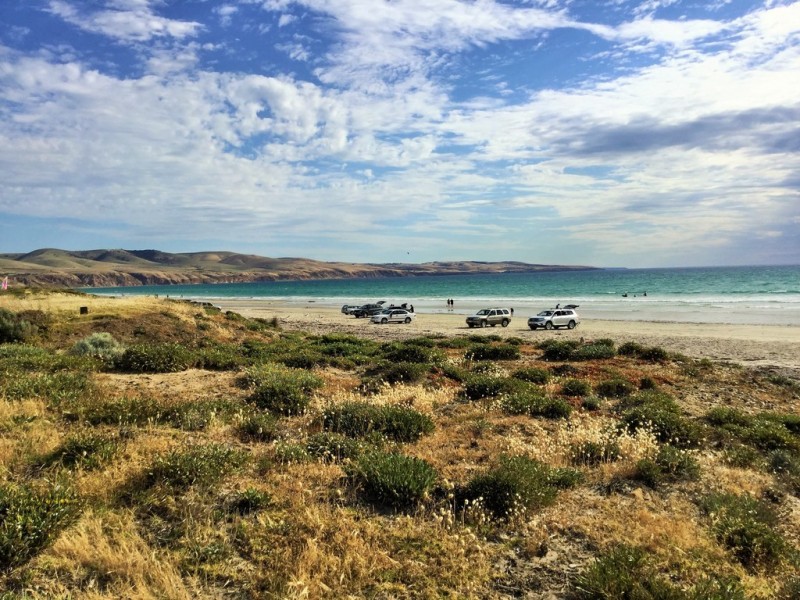 13 Nardoo Road, Aldinga Beach SA 5173