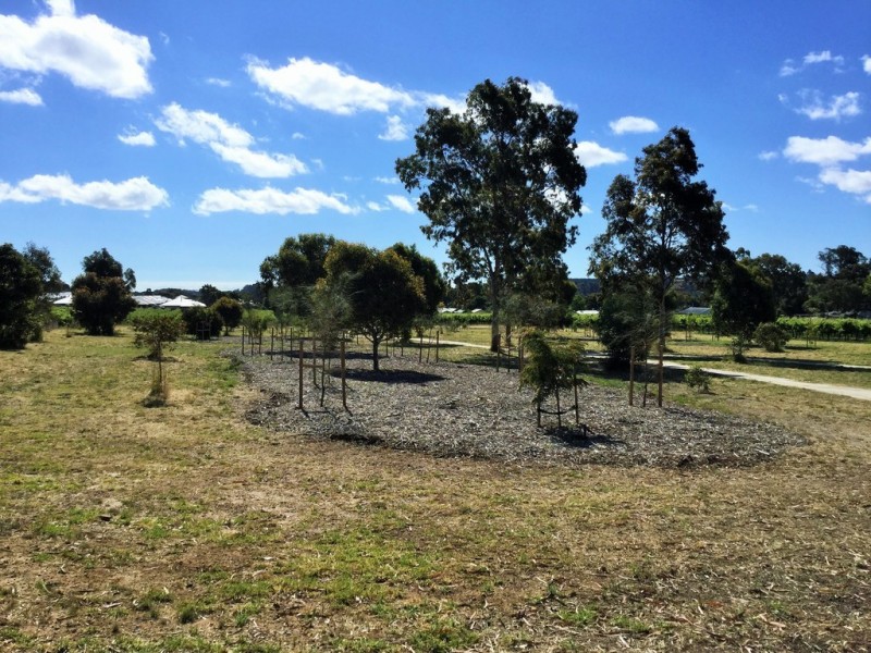 6 Paula Court, Mclaren Flat SA 5171
