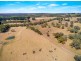 567 Wickham Hill Road, Kuitpo SA 5172