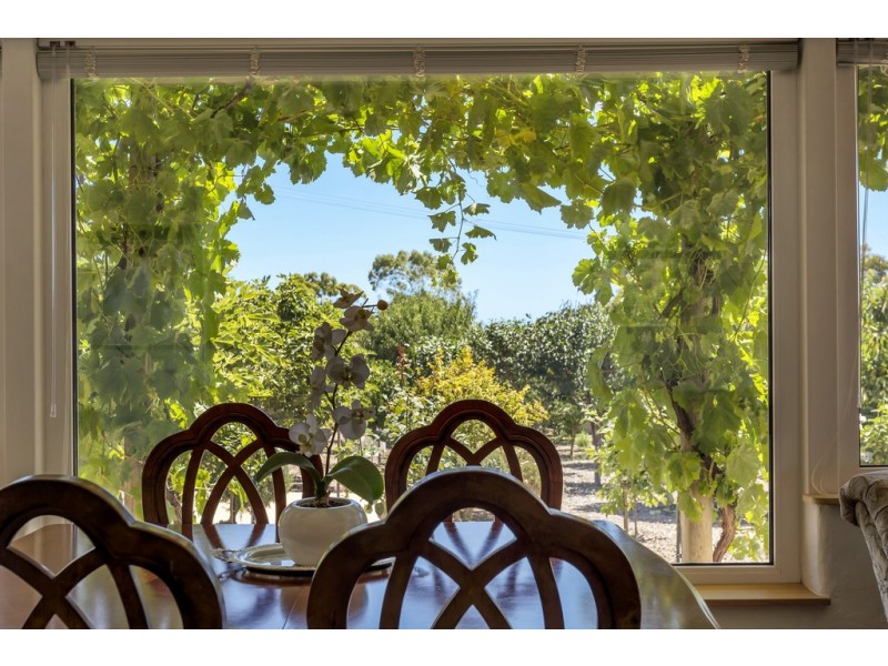 17 Seabreeze Crescent, Maslin Beach SA 5170