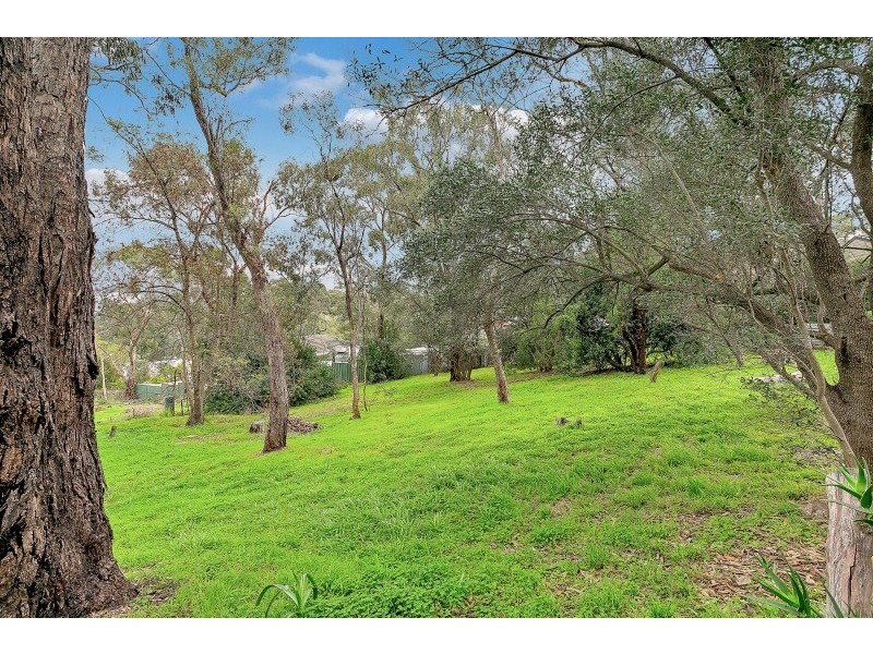 16 Edward Street, Blackwood SA 5051