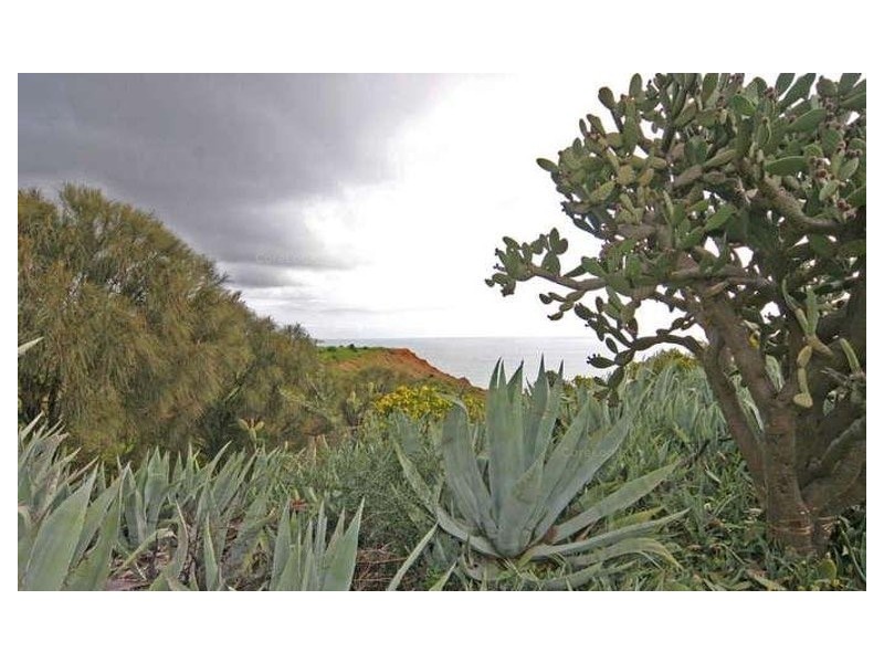 10 Esplanade, Sellicks Beach SA 5174