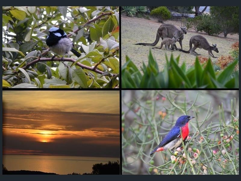 3 Hewett Close, Normanville SA 5204