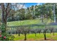 1352 Brookman Road, Dingabledinga SA 5172