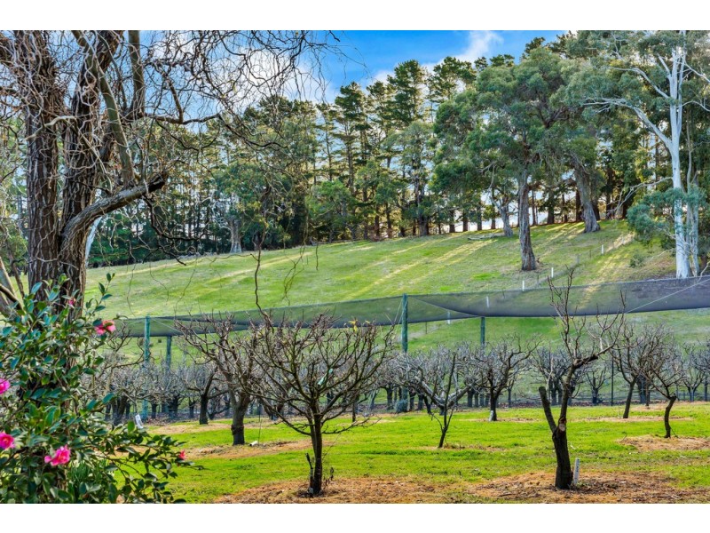 1352 Brookman Road, Dingabledinga SA 5172