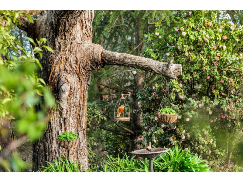 1352 Brookman Road, Dingabledinga SA 5172