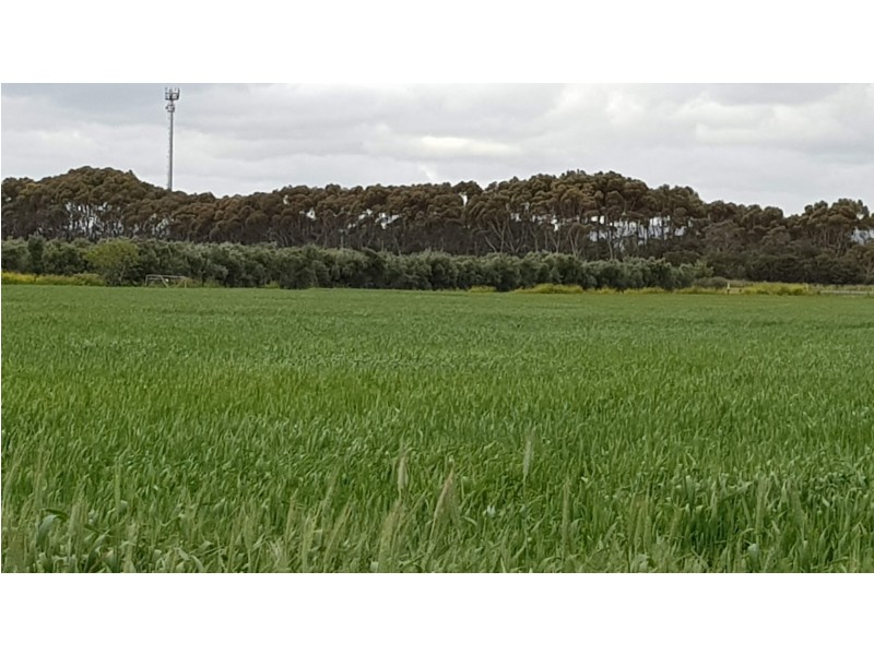Lot 27 Iverene Road, Aldinga SA 5173