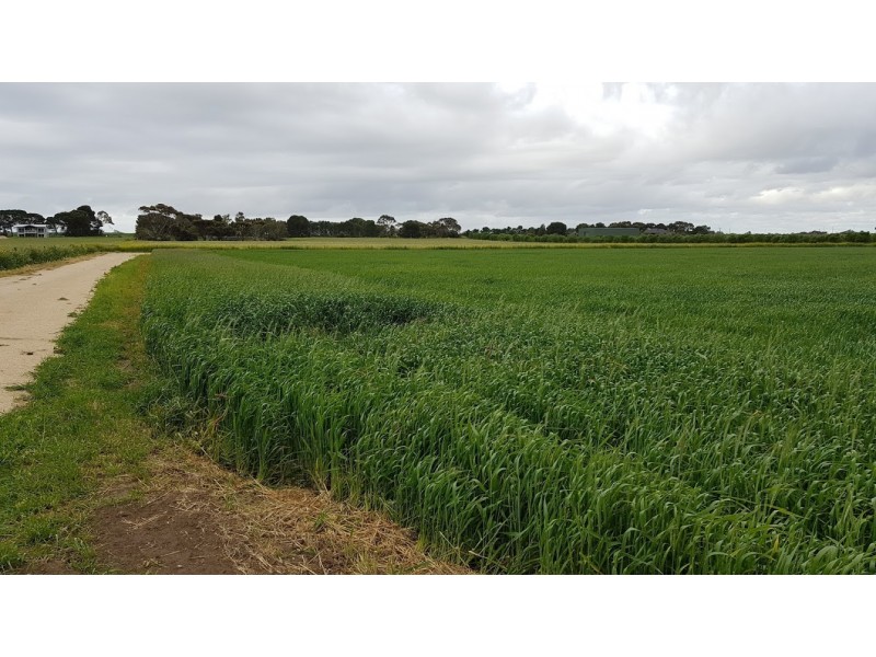 Lot 27 Iverene Road, Aldinga SA 5173