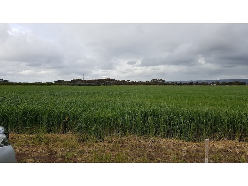 Lot 27 Iverene Road, Aldinga SA 5173