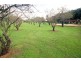 17 Valley View Drive, Mclaren Vale SA 5171