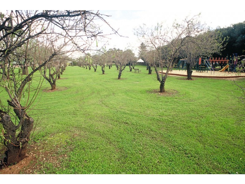 17 Valley View Drive, Mclaren Vale SA 5171
