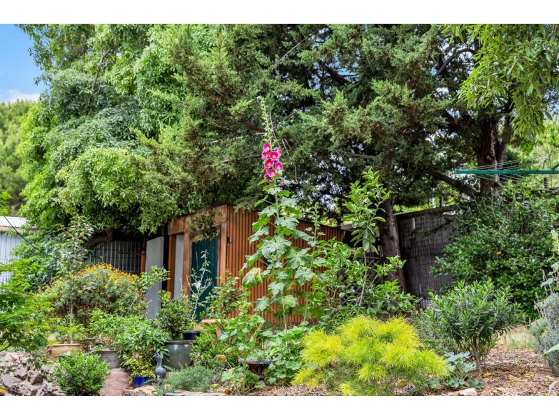 7 Martin Street, Port Willunga SA 5173