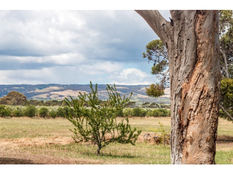 60 Iverene Road, Aldinga SA 5173