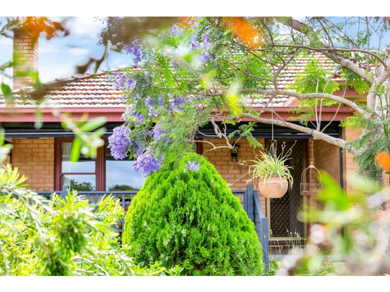 9 Pridmore Avenue, Mclaren Vale SA 5171