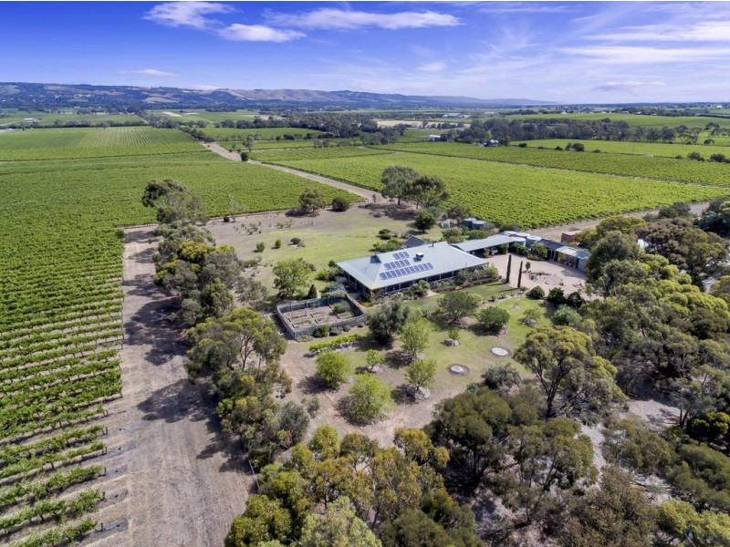 61 Branson Road, Mclaren Vale SA 5171