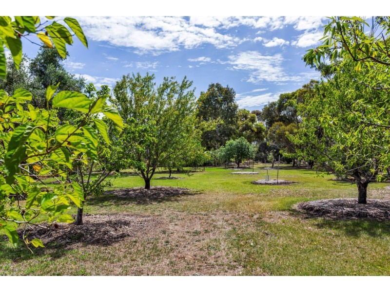 61 Branson Road, Mclaren Vale SA 5171