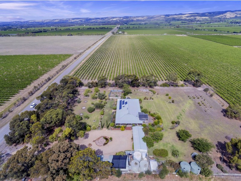 61 Branson Road, Mclaren Vale SA 5171