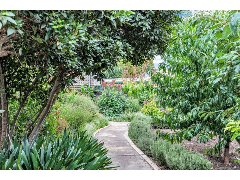 28 Hewitt Drive, Mclaren Vale SA 5171