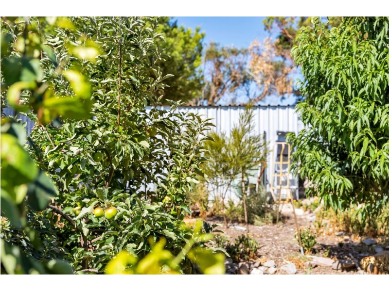 89 Sellicks Beach Road, Sellicks Beach SA 5174