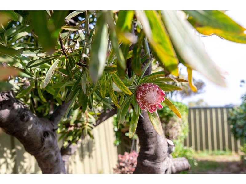 3/58 Sherriffs Road, Morphett Vale SA 5162