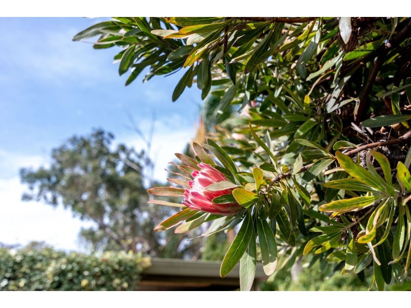 3/58 Sherriffs Road, Morphett Vale SA 5162